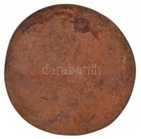 DN "Országos Diáknapok - Eger, Gyula, Keszthely, Sárospatak, Sopron" egyoldalas öntött Br ...