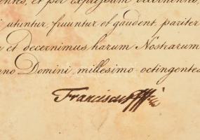 cca 1700-1945 Gazdag okmány gyűjtemény a Csergheö család okmányaival, benne sok kiemelkedő irattal: ...