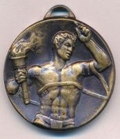 DN "Demokratikus Ifjúsági Világszövetség" Br medál füllel (35mm) T:2
ND "World Feder...