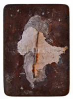 ~1920-1930. "Debreceni Egyetemi Athletikai Club 1919" Br emlékérem (37x50mm) T:2 hátoldalá...