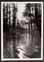 cca 1933-1934 Egy németországi utazás képei fotóalbumban, 35 db fotóval, benne a berlini Spreewald-b...