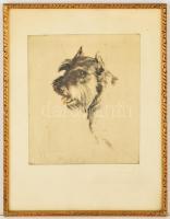 Olvashatatlan jelzéssel: Kutyák (3 db), színezett rézkwc, papír, üvegezett keretben, 24×20- 28×22 cm