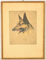 Olvashatatlan jelzéssel: Kutyák (3 db), színezett rézkwc, papír, üvegezett keretben, 24×20- 28×22 cm