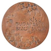 Asszonyi Tamás (1942- ) DN "Kiváló Propaganda Munkáért / KISZ Budapesti Bizottsága" Br pla...