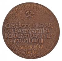 1967. "Soltz Vilmos 1833-1901 / Országos Magyar Bányászati és Kohászati Egyesület" Br emlé...