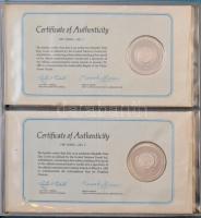 ENSZ 1981. 6db klf Ag emlékérem, megcímzett érmés borítékon elsőnapi bélyegzős bélyeggel, eredeti gy...