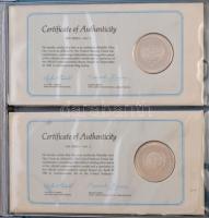 ENSZ 1981. 6db klf Ag emlékérem, megcímzett érmés borítékon elsőnapi bélyegzős bélyeggel, eredeti gy...