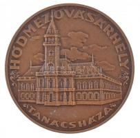 Csúcs Viktória (1934-1993) DN "Hódmezővásárhely Tanácsháza" Br emlékérem (60mm) T:1-