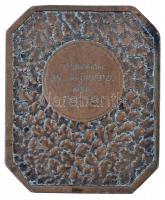 ~1935. "Tungsram Dal és Önképző Köre 1905-1935." Br emlékplakett (51x62mm) T:2