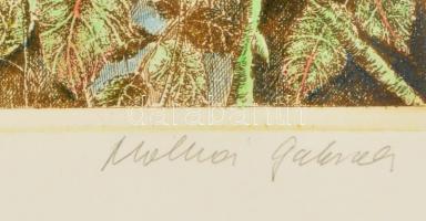 Molnár Gabriella (1940-): Rózsák. Színezett rézkarc, papír, jelzett, üvegezett fa keretben, 29×19 cm