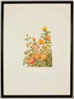 Molnár Gabriella (1940-): Rózsák. Színezett rézkarc, papír, jelzett, üvegezett fa keretben, 29×19 cm
