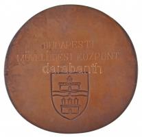 1987. "75 éves a Fővárosi Énekkar" kétoldalas Br plakett, hátlapon gravírozva. Szign.: JF ...