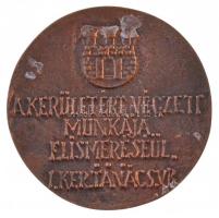 DN "A kerületért végzett munkája elismeréséül. I. Kerületi Tanács VB." Br emlékplakett (81...