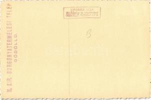 Gödöllő, M. kir. burgonyatermelési telep. Krummer Géza photo