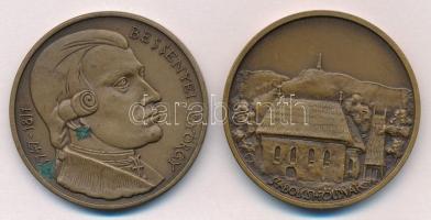 Nagy Lajos (1949-) DN "Bessenyei György Tanárképző Főiskola Nyíregyháza" Br emlékérem (42,...