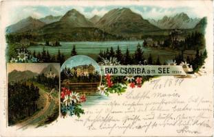 1899 Tátra, Tatry; Csorba-tó / Strbské pleso / Csorba am See. M. Kuschel. Floral, litho