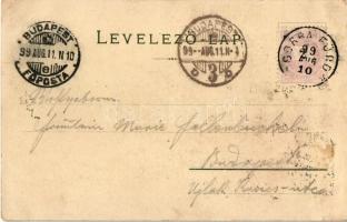 1899 Tátra, Tatry; Csorba-tó / Strbské pleso / Csorba am See. M. Kuschel. Floral, litho