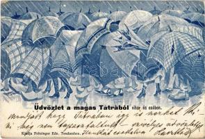 1906 Tátra, Tatry; Magas Tátra vihar és esőben, esernyők. Feitzinger Ede  / Vysoké Tatry in storm and rain, umbrellas