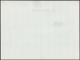 cca 1970 Vincze János (1922-1998): Kecskemét, Villám István utcarészlet I. (ma: Csányi János körút.)...