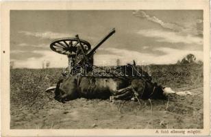 A futó ellenség mögött. Az Érdekes Újság kiadása / WWI K.u.k. military, overturned cannon with dead horse