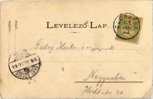 1904 Előpatak, Valcele; Lobogó fürdő / spa (EK)