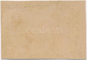 ~1905 Csíkszentsimon, Szent-Simon, Sansimion; vasútállomás, vasutasok / Bahnhof / railway station wi...