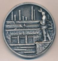 DN "Csepel Vas- és Fémművek" nívódíja, nagyalakú kétoldalas fém emlékplakett tokban (69mm)...