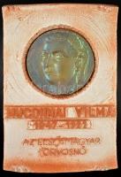 Zsolnay Dr Hugonnai Vilma nagy méretű emlék plakett (Nagy Árpád), eozin mázas,mázas kerámia keretben, d:20 cm, 48×34 cm