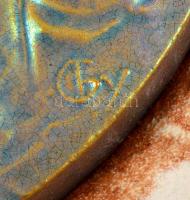 Zsolnay Dr Hugonnai Vilma nagy méretű emlék plakett (Nagy Árpád), eozin mázas,mázas kerámia keretben...