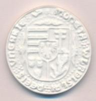 DN "II. Ulászló guldiner 1499" porcelán emlékérem (40mm) T:1