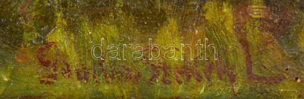 Székely jelzéssel: Napraforgók a kerítésnél. Olaj, karton, festék kopásokkal, keretben, 50×48 cm