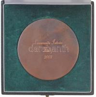 2003. "Ganz Díj" Br díjplakett eredeti dísztokban (89mm) T:1-