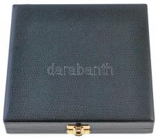 2003. "Ganz Díj" Br díjplakett eredeti dísztokban (89mm) T:1-