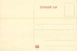 Tűzköves (Miskolc), Nyári lak, villa