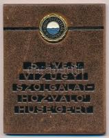 DN 5 éves Vízügyi Szolgálathoz való hűségért fém plakett, zománcozott Vízügyi Igazgatóság - Budapest rátéttel (71x57mm) T:2
