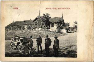 1911 Pele, Becheni; Sántha Dezső szüretelő háza, hintó / grape harvesting house, cart (szakadás / tear)