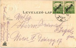 1919 Szombathely, Fő tér. Dombornyomott művészlap fecskékkel. Steiner Testvérek kiadása, Emb. litho ...