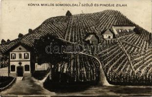 1911 Zilah, Zalau; Kónya Miklós Somos oldali szőlője / vineyards (fl)