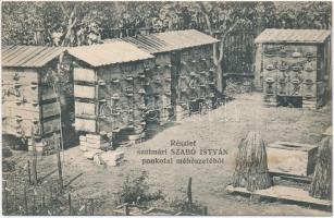 1914 Pankota, Pancota; Szatmári Szabó István méhészete. Hátoldalon reklámmal / beekeeping, beehives, advertisement on the backside (ázott / wet damage)