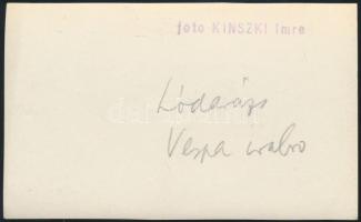 cca 1933 Kinszki Imre (1901-1945) budapesti fotóművész pecséttel jelzett vintage fotója egy lódarázs...