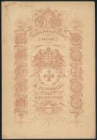 cca 1876 Rupprecht Mihály soproni fényképész műtermében készült cabinetfotó méretű fénykép, hátoldal...