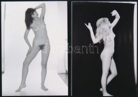 cca 1982 A női test szépsége, szolidan erotikus felvételek, 13 db vintage negatív + 3 db mai nagyítá...