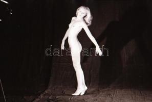 cca 1982 A női test szépsége, szolidan erotikus felvételek, 13 db vintage negatív + 3 db mai nagyítá...