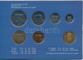 Hollandia 1991. 5c-5G (6xklf) + "Drenthe" emlékérem forgalmi sor karton dísztokban T:1
Ne...