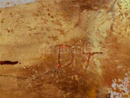 Darabont Tamás (1930-): Vízparton. Olaj, farost, jelzett, keretben, 40×60 cm