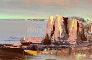 Darabont Tamás (1930-): Vízparton. Olaj, farost, jelzett, keretben, 40×60 cm