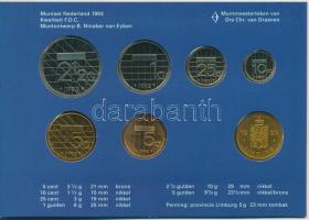 Hollandia 1993. 5c-5G (6xklf) + "Limburg" emlékérem forgalmi sor karton dísztokban T:1
Ne...