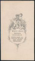cca 1863 Eger, Mihály József fényképész műtermében készült, vizitkártya méretű, családi fénykép, 10,...