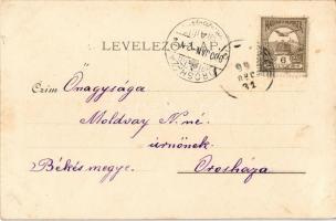 1899 Aszód, Evangélikus leánynevelő intézet, Petőfi gimnázium. Kiadja Wahl Adolf, Schrecker Mihály f...