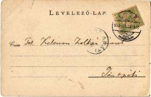 1903 Eger, Angol kisasszonyok nevelőintézete. Kiadja a Baross nyomda. Art Nouveau, floral (kis szaka...